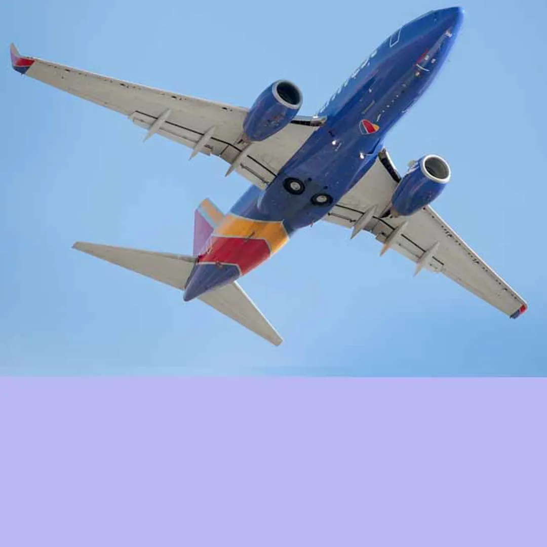 flight